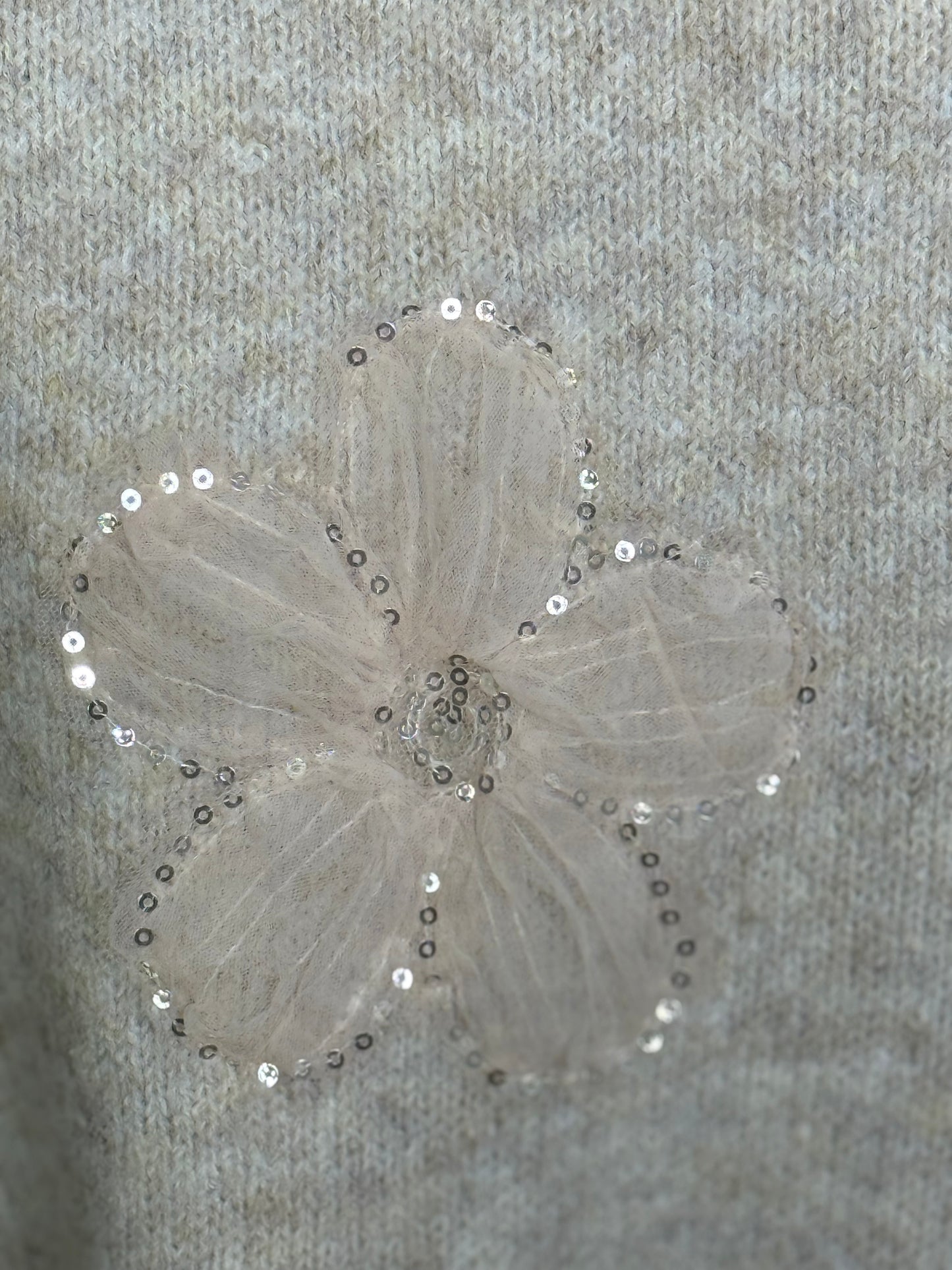 Sienna Sequin Flower Jumper Beige